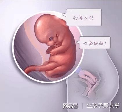严重少弱精
